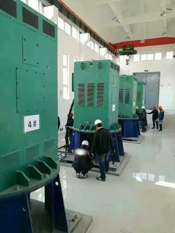 榆林变频电机某污水处理厂使用我厂的立式高压电机安装现场