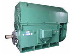 榆林变频电机Y系列6KV高压电机